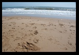 Balmedie Beach -30-05-2014 - Bogdan Balaban